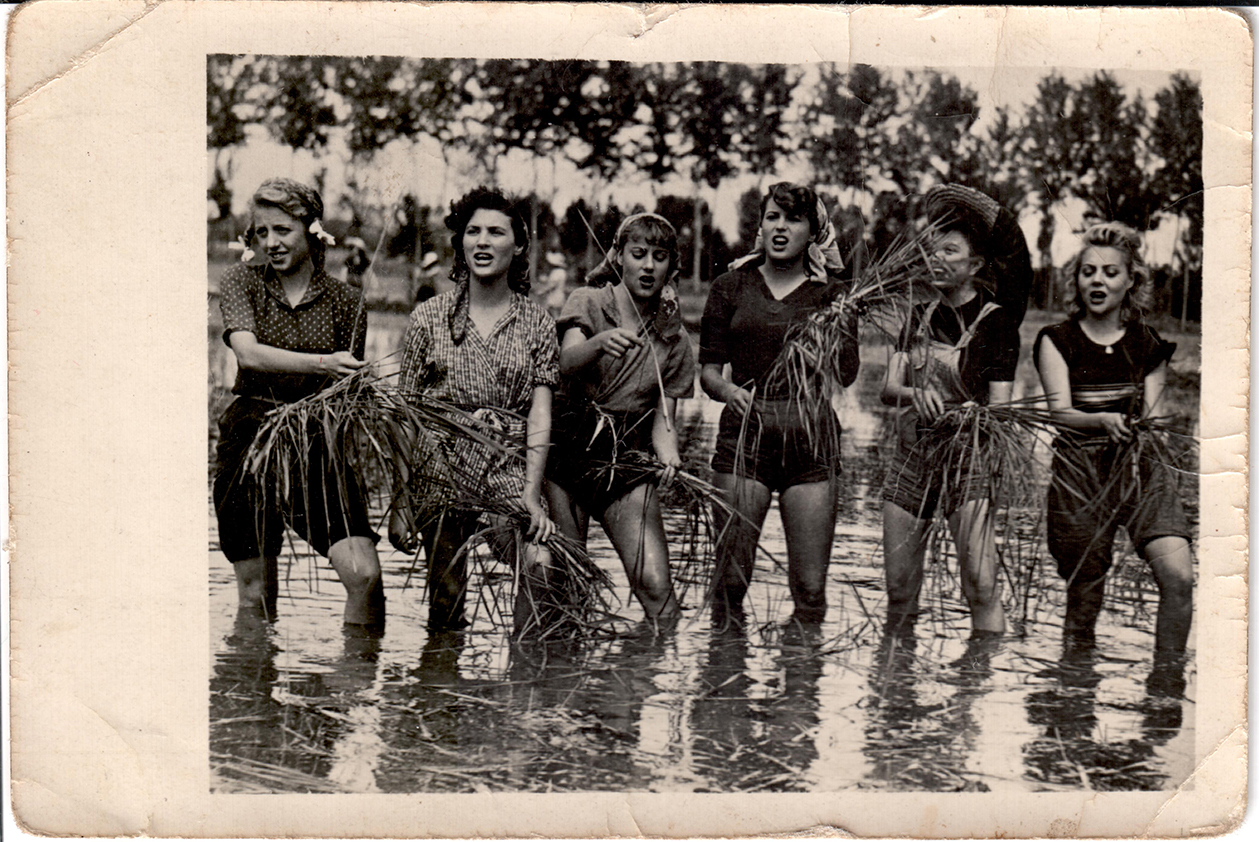 Силвана Мангано, филм "Горки пиринач". 1949.