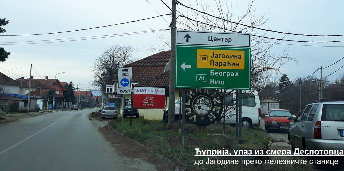 sumska sekcija Despotovac