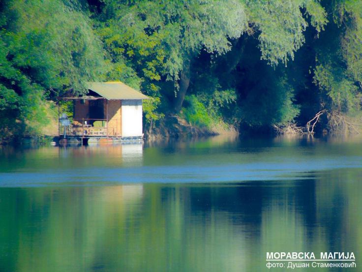 Ћуприја сплав на Морави