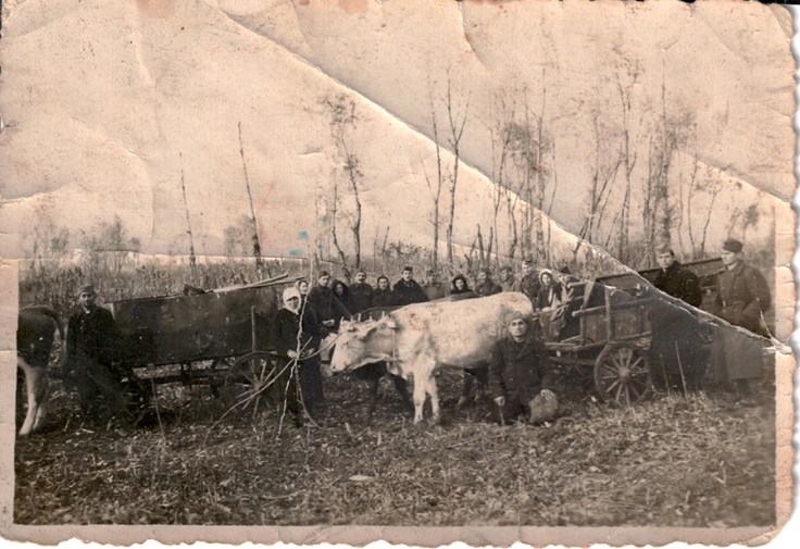 Lapovo iskopavanje 3