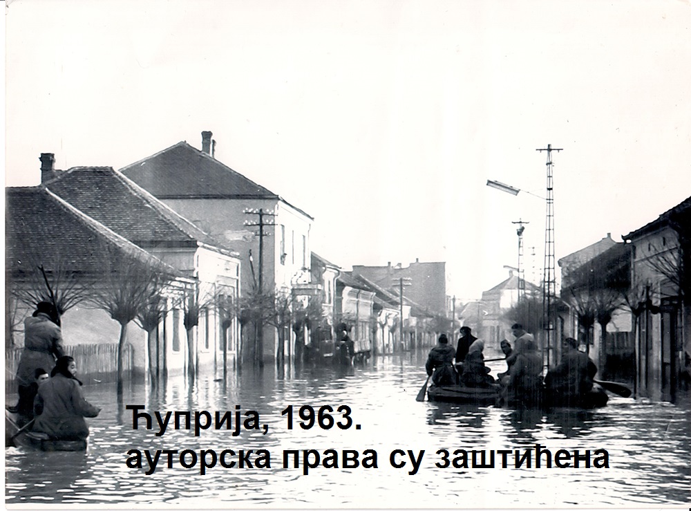 1963 Zivke Damnjanovic