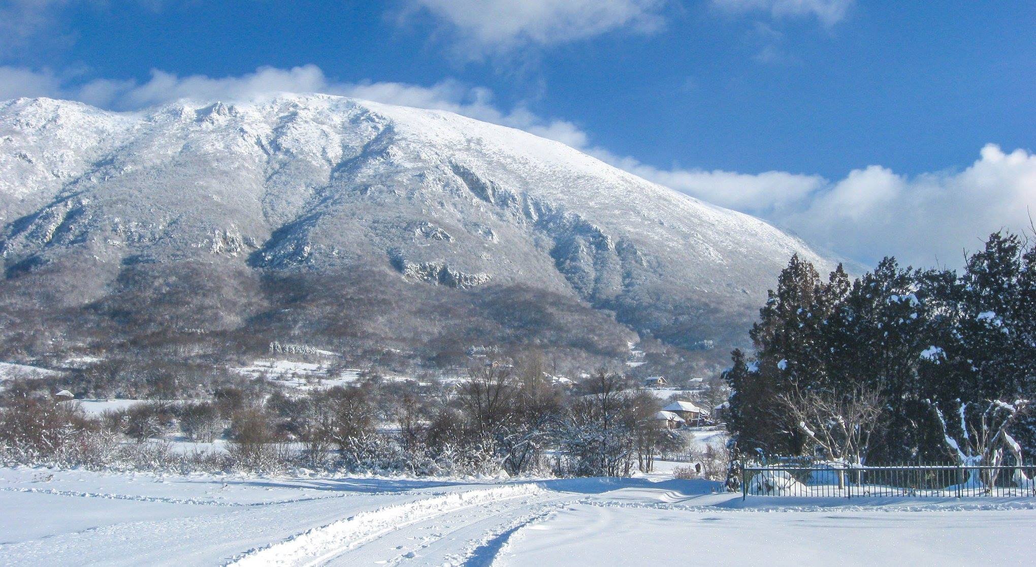 Selo Ćelije Suva planina