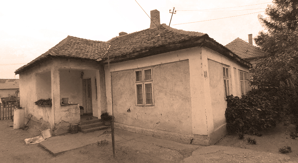 Baba Julina kuca filter