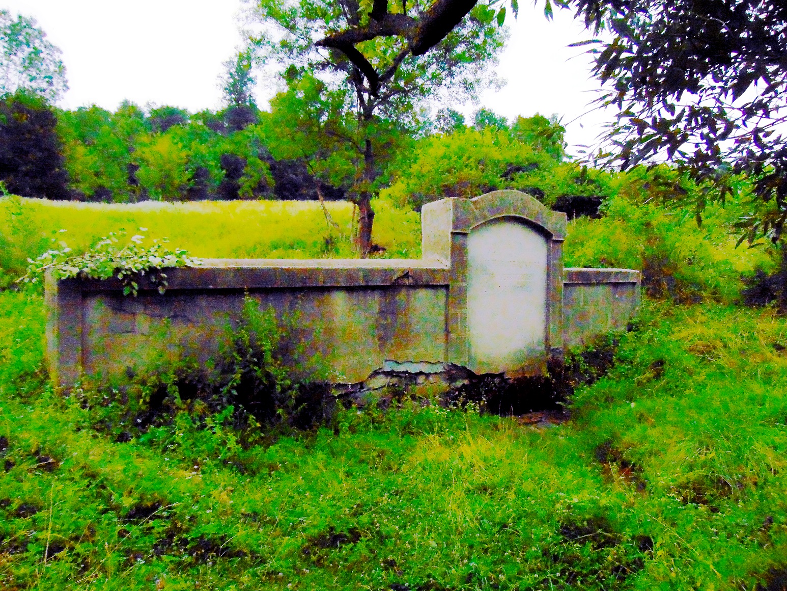 Cuprija Lekina cambura Petkovic