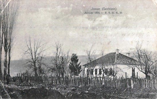 Jovac januar 1916