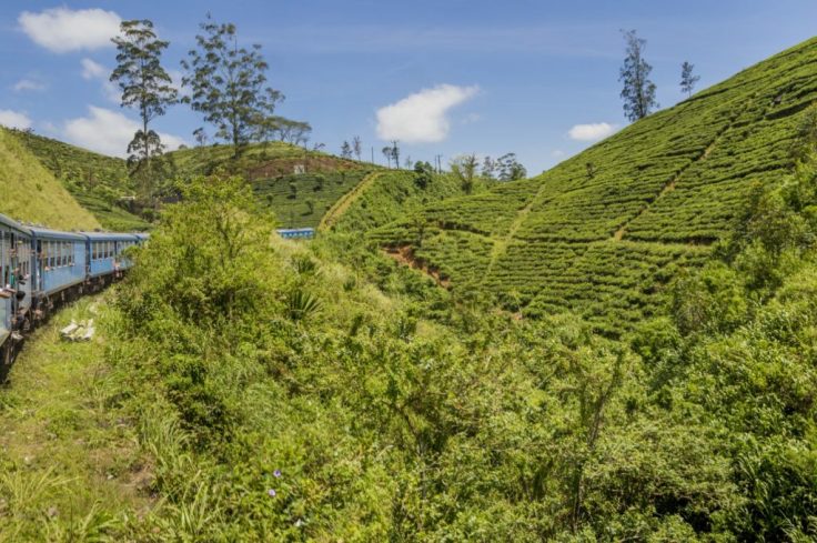 blue-train-vlak-kandy-ella-srilanka-6-1024x681
