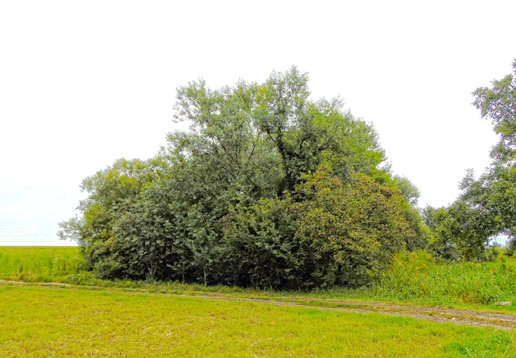 Cuprija Ravanica Manastirska vodenica