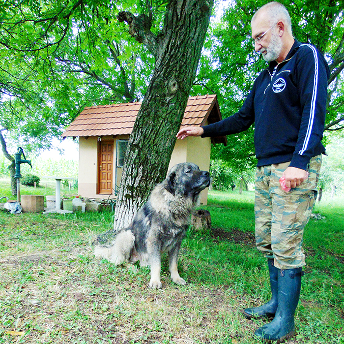 Jovan Jankovic sa psom