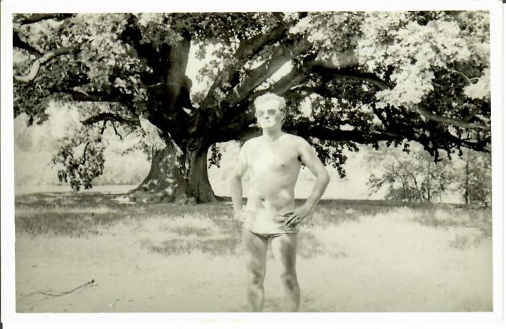 Pred Kočinim hrastom 1