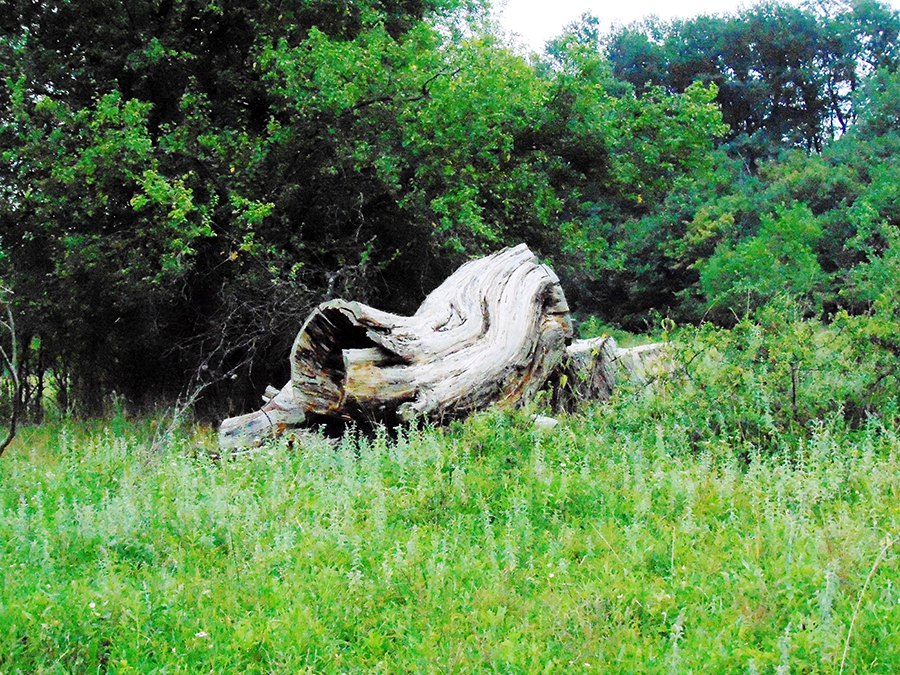 vajarsko delo prirode